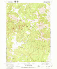Download a high-resolution, GPS-compatible USGS topo map for Crook Peak, OR (1980 edition)