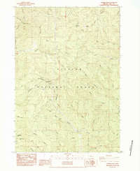 Download a high-resolution, GPS-compatible USGS topo map for Cummins Peak, OR (1984 edition)