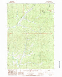 Download a high-resolution, GPS-compatible USGS topo map for Curtin, OR (1987 edition)