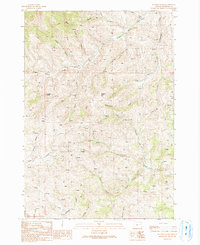 Download a high-resolution, GPS-compatible USGS topo map for De Bord Peaks, OR (1991 edition)