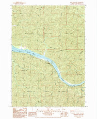 Download a high-resolution, GPS-compatible USGS topo map for Deer Head Point, OR (1985 edition)