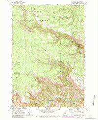 Download a high-resolution, GPS-compatible USGS topo map for Deerhorn Creek, OR (1984 edition)