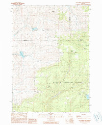 Download a high-resolution, GPS-compatible USGS topo map for Delintment Lake, OR (1990 edition)