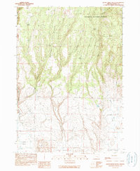 Download a high-resolution, GPS-compatible USGS topo map for Devine Ridge South, OR (1990 edition)