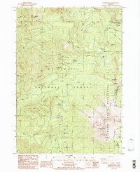 Download a high-resolution, GPS-compatible USGS topo map for Diamond Peak, OR (1986 edition)