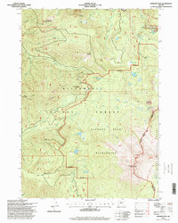 preview thumbnail of historical topo map of Lane County, OR in 1997