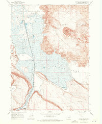 Download a high-resolution, GPS-compatible USGS topo map for Diamond Swamp, OR (1972 edition)