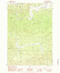 Download a high-resolution, GPS-compatible USGS topo map for Digger Mtn, OR (1984 edition)