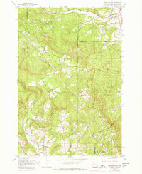 Download a high-resolution, GPS-compatible USGS topo map for Dixie Mountain, OR (1978 edition)