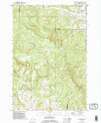 Download a high-resolution, GPS-compatible USGS topo map for Dixie Mountain, OR (1995 edition)