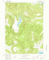 Download a high-resolution, GPS-compatible USGS topo map for Dog Lake, OR (1980 edition)
