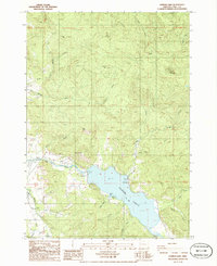 Download a high-resolution, GPS-compatible USGS topo map for Dorena Lake, OR (1988 edition)