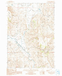 Download a high-resolution, GPS-compatible USGS topo map for Drinkwater Pass, OR (1991 edition)