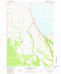 Download a high-resolution, GPS-compatible USGS topo map for Duncan Reservoir, OR (1982 edition)