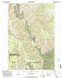 Download a high-resolution, GPS-compatible USGS topo map for Duncan, OR (1998 edition)