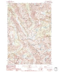 Download a high-resolution, GPS-compatible USGS topo map for Eagle Cap, OR (1990 edition)