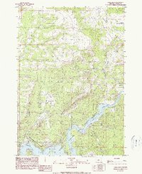 Download a high-resolution, GPS-compatible USGS topo map for Eagle Rock, OR (1990 edition)