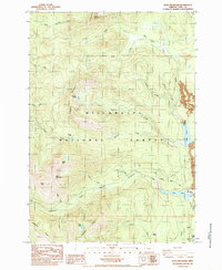 Download a high-resolution, GPS-compatible USGS topo map for Echo Mountain, OR (1985 edition)