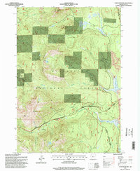Download a high-resolution, GPS-compatible USGS topo map for Echo Mountain, OR (1998 edition)