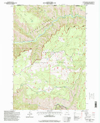 Download a high-resolution, GPS-compatible USGS topo map for Elbow Creek, OR (1998 edition)