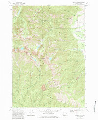 Download a high-resolution, GPS-compatible USGS topo map for Elkhorn Peak, OR (1984 edition)