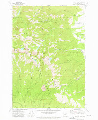 Download a high-resolution, GPS-compatible USGS topo map for Elkhorn Peak, OR (1976 edition)
