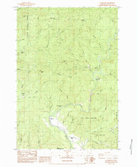 Download a high-resolution, GPS-compatible USGS topo map for Euchre Mtn, OR (1984 edition)