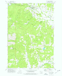 Download a high-resolution, GPS-compatible USGS topo map for Falls City, OR (1977 edition)
