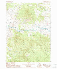 Download a high-resolution, GPS-compatible USGS topo map for Ferguson Mountain, OR (1988 edition)