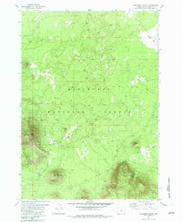 Download a high-resolution, GPS-compatible USGS topo map for Firestone Butte, OR (1982 edition)