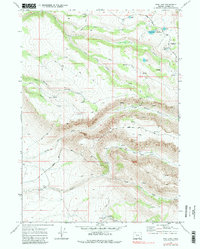 Download a high-resolution, GPS-compatible USGS topo map for Fish Lake, OR (1984 edition)