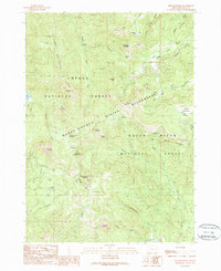 preview thumbnail of historical topo map of Douglas County, OR in 1989