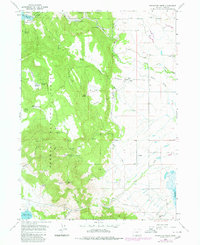 Download a high-resolution, GPS-compatible USGS topo map for Fitzwater Point, OR (1980 edition)