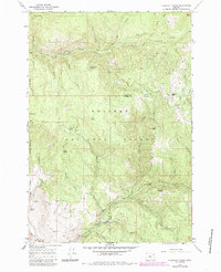 Download a high-resolution, GPS-compatible USGS topo map for Flagstaff Butte, OR (1985 edition)