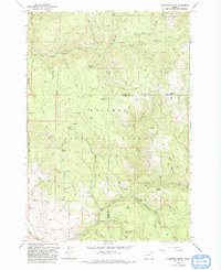 Download a high-resolution, GPS-compatible USGS topo map for Flagstaff Butte, OR (1993 edition)