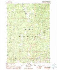 Download a high-resolution, GPS-compatible USGS topo map for Flagtail Mountain, OR (1990 edition)