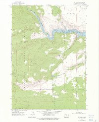 Download a high-resolution, GPS-compatible USGS topo map for Fly Creek, OR (1977 edition)
