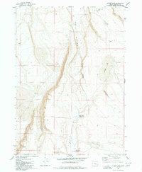 Download a high-resolution, GPS-compatible USGS topo map for Flybee Lake, OR (1980 edition)