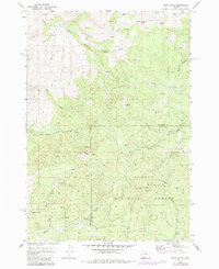 Download a high-resolution, GPS-compatible USGS topo map for Foley Butte, OR (1985 edition)