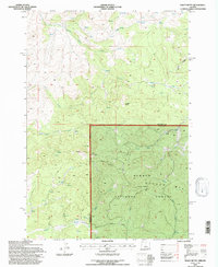 Download a high-resolution, GPS-compatible USGS topo map for Foley Butte, OR (1997 edition)