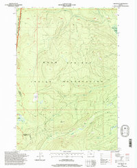 Download a high-resolution, GPS-compatible USGS topo map for Fort Butte, OR (1998 edition)