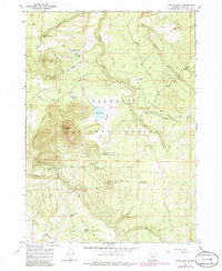Download a high-resolution, GPS-compatible USGS topo map for Foster Butte, OR (1980 edition)