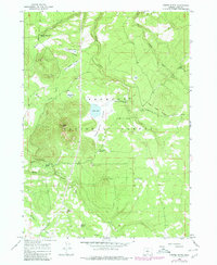 Download a high-resolution, GPS-compatible USGS topo map for Foster Butte, OR (1986 edition)