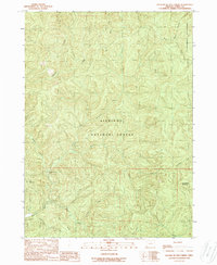 Download a high-resolution, GPS-compatible USGS topo map for Fourth of July Creek, OR (1989 edition)