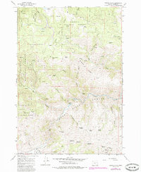 preview thumbnail of historical topo map of Baker County, OR in 1967