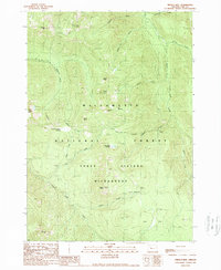 Download a high-resolution, GPS-compatible USGS topo map for French Mountain, OR (1989 edition)