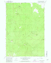 Download a high-resolution, GPS-compatible USGS topo map for Fuzztail Butte, OR (1981 edition)