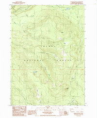 Download a high-resolution, GPS-compatible USGS topo map for Garwood Butte, OR (1985 edition)