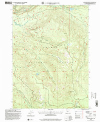 Download a high-resolution, GPS-compatible USGS topo map for Garwood Butte, OR (2000 edition)