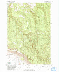 Download a high-resolution, GPS-compatible USGS topo map for Gasset Bluff, OR (1993 edition)